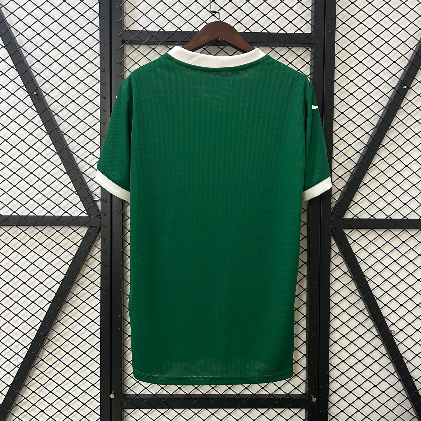 25/26 Palmeiras Domicile