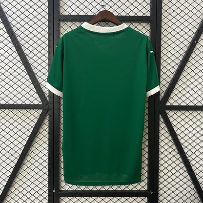 25/26 Palmeiras Domicile