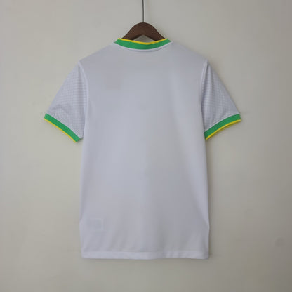 Brésil Maillot Concept