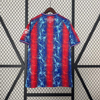 24/25 Crystal Palace Domicile